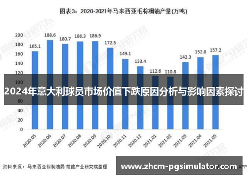 2024年意大利球员市场价值下跌原因分析与影响因素探讨