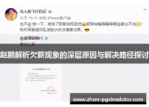 赵鹏解析欠薪现象的深层原因与解决路径探讨