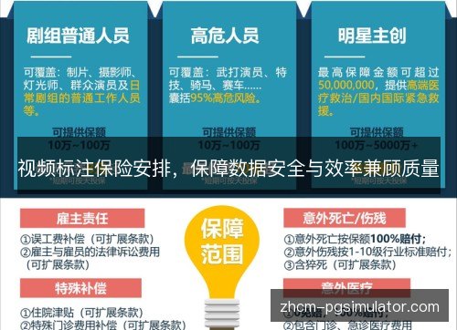 视频标注保险安排，保障数据安全与效率兼顾质量